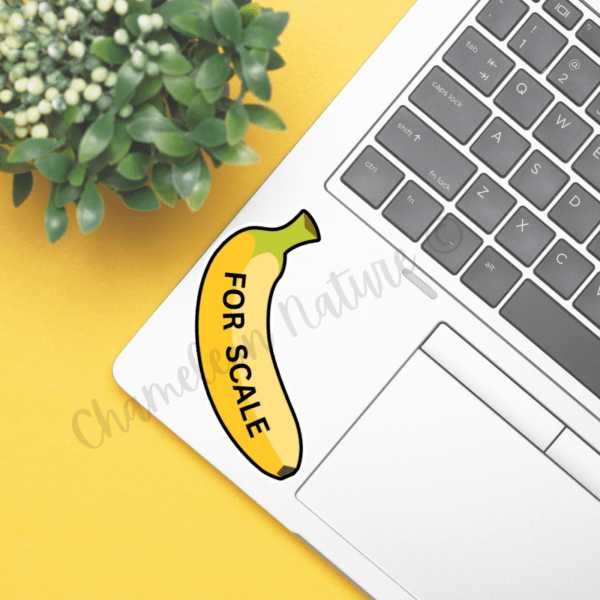 Banana- For scale sticker - Image 3