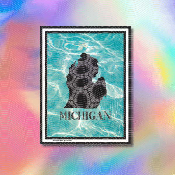 Petoskey pattern Michigan sticker