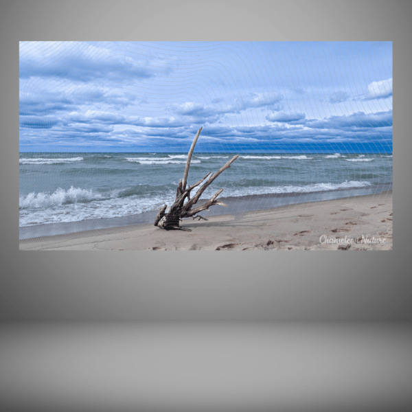 Lake Michigan shoreline print