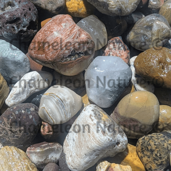 Great Lakes Gems jar - Image 3