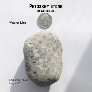 PE001
