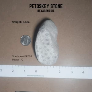 PE004