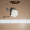 PE006
