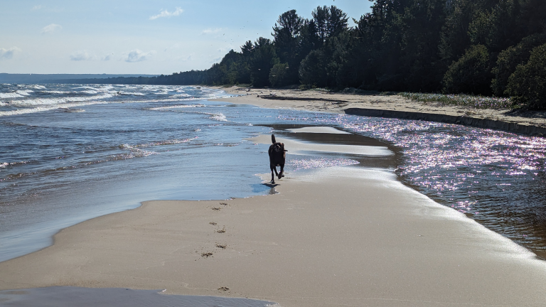 PXL_20230818_140819315