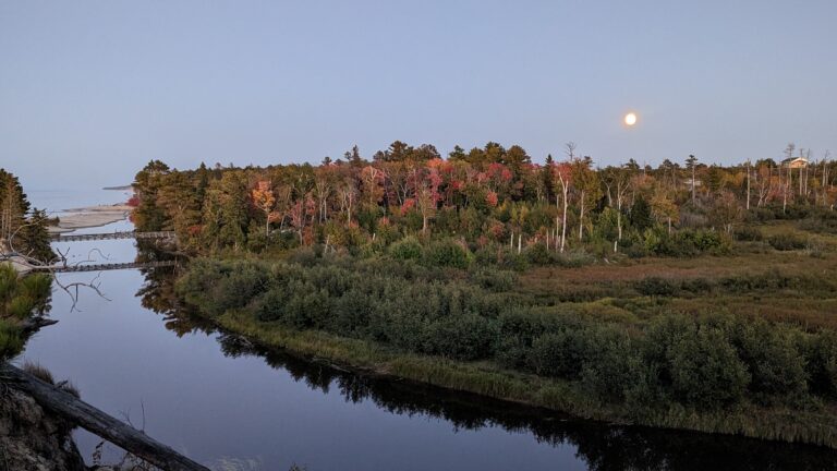 PXL_20230928_235214811