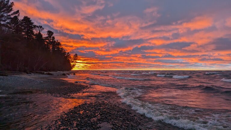 PXL_20231229_220635155