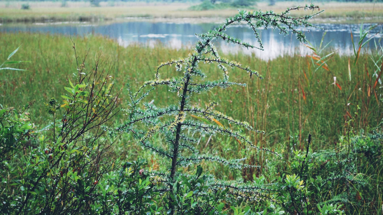 Polish_20230815_104144424